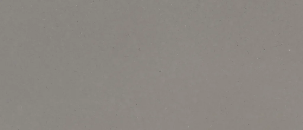 Fossil Gray quartz slab