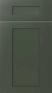 Savannah Green cabinet door