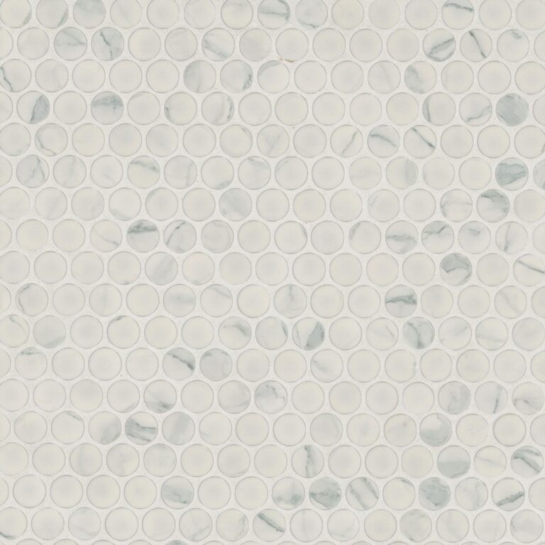 Carrara Matte Penny Round porcelain backsplash tile